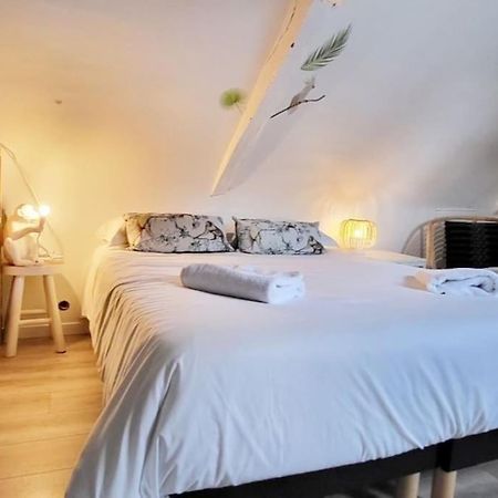 La Cabane - Petit Studio Mansarde - Plage 50M - Rue Gratuite Saint-Malo Zewnętrze zdjęcie