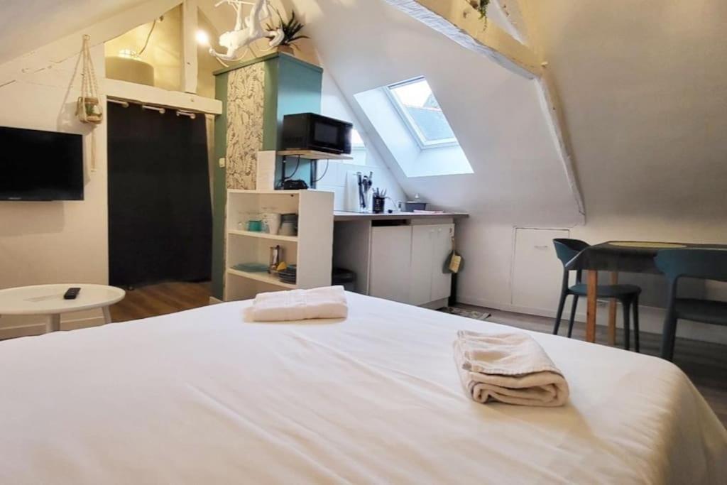 La Cabane - Petit Studio Mansarde - Plage 50M - Rue Gratuite Saint-Malo Zewnętrze zdjęcie